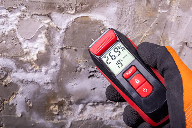 Best Crawl Space Mold Removal  in Pinch, WV