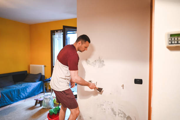 Best Mold Cleaning Services  in Pinch, WV